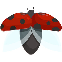 Cartoon Ladybug Insect With Red Wings And Black Spots In Flight On A Transparent Background With Light Blue Wings Visible