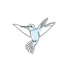Fototapeta premium Vector illustration of delicate hummingbird illustration, rendered in a continuous line style, capturing its graceful flight and ethereal beauty in a minimalist design