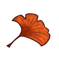Autumn Ginkgo Leaf Illustration