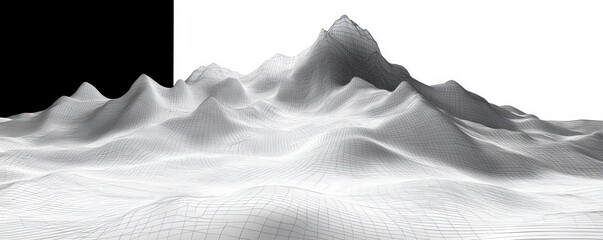 3D digital wireframe landscape showing mountainous terrain with peaks and valleys against a split black and white background