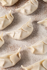 Chinese Dumpling Soup Rustic Retro Food Scene