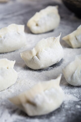 Chinese Dumplings Making and Serving Cozy Dinner