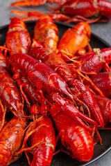 Red Crayfish Vertical Close Up Vibrant Seafood