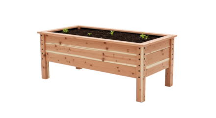 Wooden Raised Garden Bed With Young Green Sprouts And Rich Dark Soil isolated on a transparent Background 
