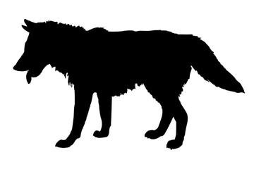Black Silhouettes of Dog. Isolated on White Background. PNG File.N.05
