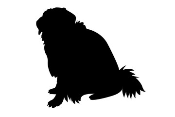 Black Silhouettes of Dog. Isolated on White Background. PNG File.N.06