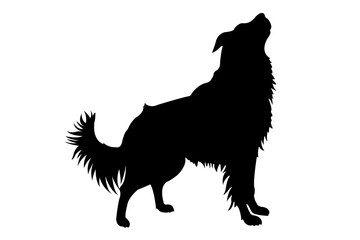 Black Silhouettes of Dog. Isolated on White Background. PNG File.N.04