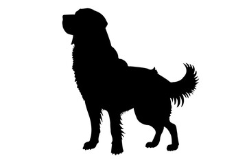 Black Silhouettes of Dog. Isolated on White Background. PNG File.N.03