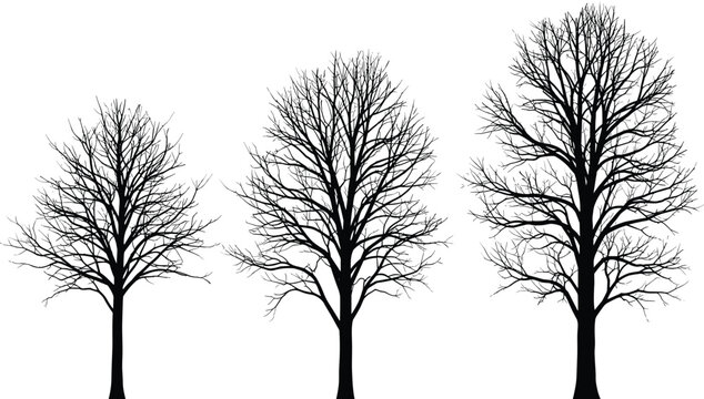 Leave Less Tree