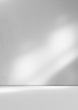 Grey wall shadow background kitchen floor white abstract studio concrete table white texture light texture mockup product marble room display plant cement minimal shelft bar leaves backdrop
