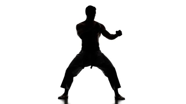 Silhouette of a Martial Artist Executing a Powerful Karate Punch in a Minimalist Studio