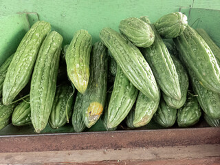Bitter gourd displayed in a green market box, ready for cooking . Fresh bitter gourd piled up at the local market stall for sale . Healthy green bitter gourds in a neat arrangement for purchase
