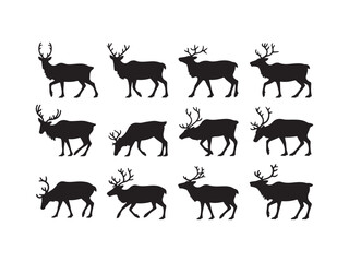 Naklejka premium Reindeer Silhouette Collection Wildlife Deer Animal Standing Posing
