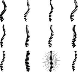 Collection of Human Spine Silhouettes for Medical Design Elements