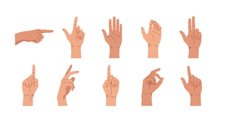 Diverse Hand Gestures Vector Illustrations of Human Hands in Various Poses and Actions
