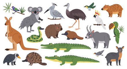 Australian Wildlife Native Animals Vector Illustration