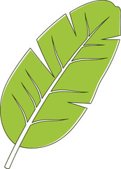 Vibrant green banana leaf detailed illustration tropical foliage botany nature plant organic fresh jungle vector