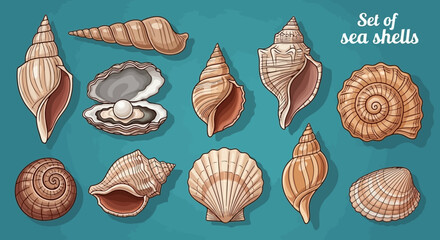 Elegant Seashells Set A Collection of Nature's Treasures from the Ocean