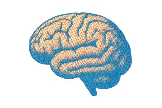 Human brain illustration showing thinking and creativity concept with unique pointillism style on transparent background