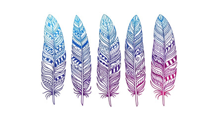 Colorful Feathers Illustration with Intricate Designs