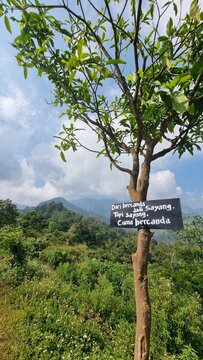 road sign in the forest