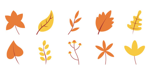 simple flat leaf autumn 