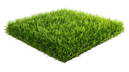 A heart-shaped patch of green grass is isolated on a white background, symbolizing nature, love, and ecology