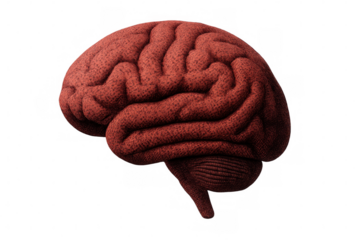Brain structure made from red knitted wool fabric material representing thought, mind, and human intelligence