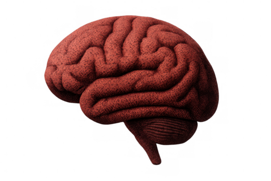 Brain structure made from red knitted wool fabric material representing thought, mind, and human intelligence