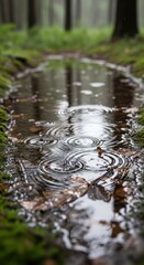 Fototapeta premium Raindrops dance on forest pool, casting reflections and ripple patterns