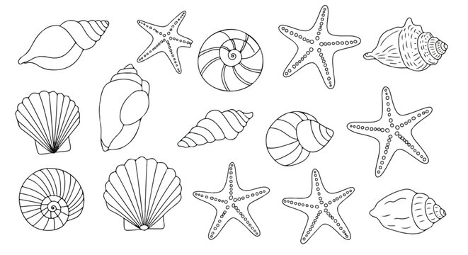 Seashells and starfish marine collection rendered in a clean flat 2D line art vector illustration, presented in a crisp black and white monochrome style.