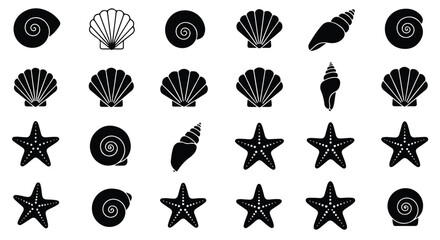 Black and white minimal vector illustration showing a collection of various seashells and starfish marine icons, suitable for summer and ocean themes.