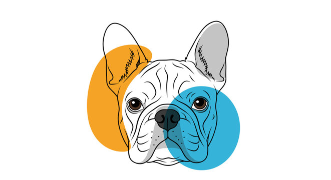 This is a line art drawing of a french bulldog head with orange and blue circles behind it.