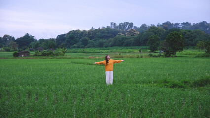 A woman with opened arms standing in the rice field on fresh morning