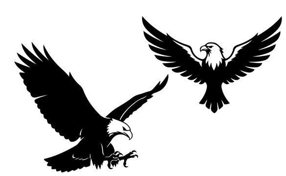Collection of diverse eagle icons in multiple colors for graphic design projects