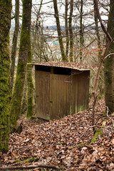 Outhouse on walking path in German forest.