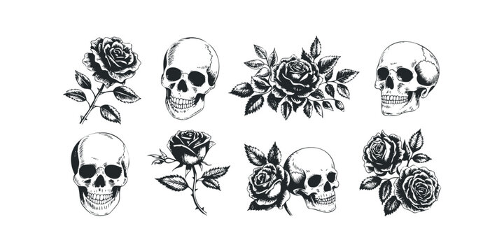 Skulls and roses sketch compositions