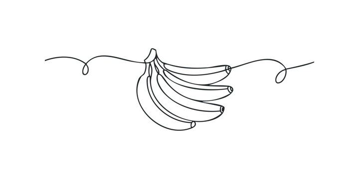 Hand drawn bunch of bananas with swirling line