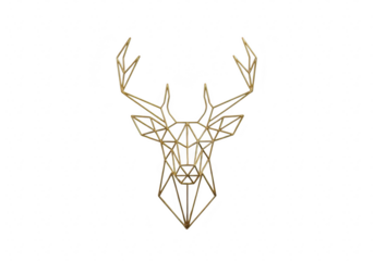 Geometric deer head made of golden wire, isolated on transparent background a modern and stylish decorative piece, perfect for adding a touch of elegance to any space
