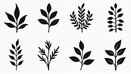 Black plant icons graphic set. Nature themed plants simple designs for print. Various botanical shapes for logo. Eco friendly icons for stickers decor elements for product branding. Plants leaf set