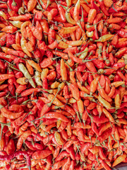 A colorful display of dried red chili peppers. Red chili peppers freshly harvested and ready for sale. Spicy red chilies gathered in bulk. Red chili pepper harvest in vibrant colors
