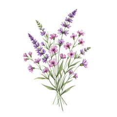 Obraz premium Lavender and pink wildflowers bouquet on white background 