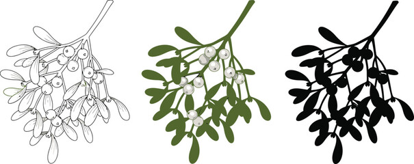 Fototapeta premium Three illustrations of plant branches with leaves