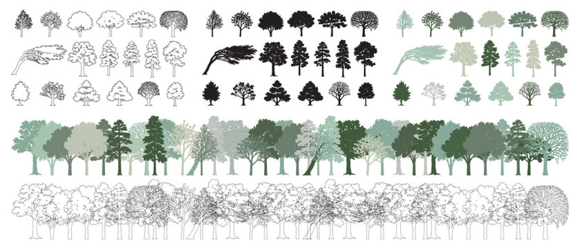 Architectural drawings, minimal style CAD tree line illustration, side view set of section and wetland forest outlines for landscape design, vector illustration in separate elements