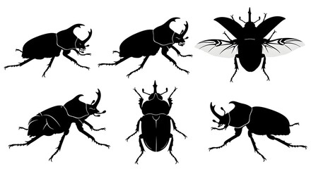 Silhouettes of rhinoceros beetles isolated on white background in various poses