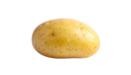 Single yellow-tan potato with small dots on a dark background