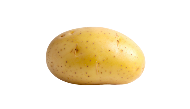 Single yellow-tan potato with small dots on a dark background