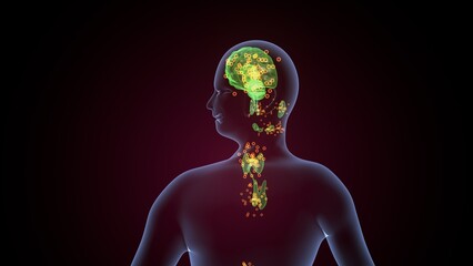 Human glands anatomy. 3d illustrations