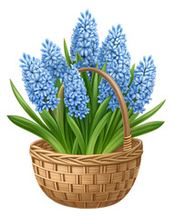 Obraz premium Hyacinth flowers in a woven basket isolated on transparent background, a spring bouquet