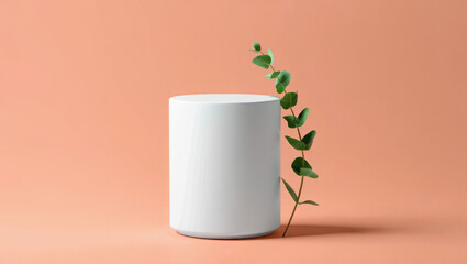Minimalist white cylinder with green plant against a peach background